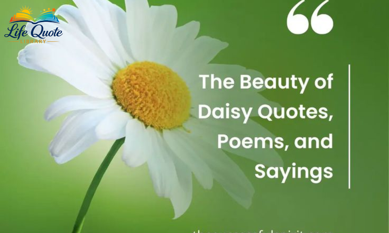 Quotes About Daisies: 100+ Beautiful, Inspiring & Cheerful Quotes