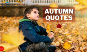 Autumn Quotes: 100 Beautiful Words for Cozy Fall Days