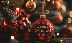 200+ Merry Christmas Quotes to Share Joy & Holiday Cheer