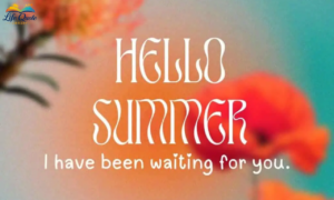 Summer Quotes: 100 Beautiful Words for Sunny Days