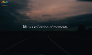 Quotes About Life: 96 Powerful Words for Every Season