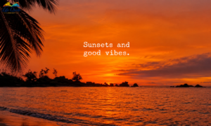 Sunset Quotes: 250 Beautiful &amp; Inspiring Lines